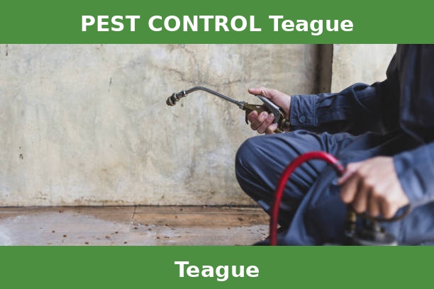 PEST CONTROL Teague
